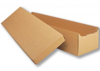 Cardboard Container